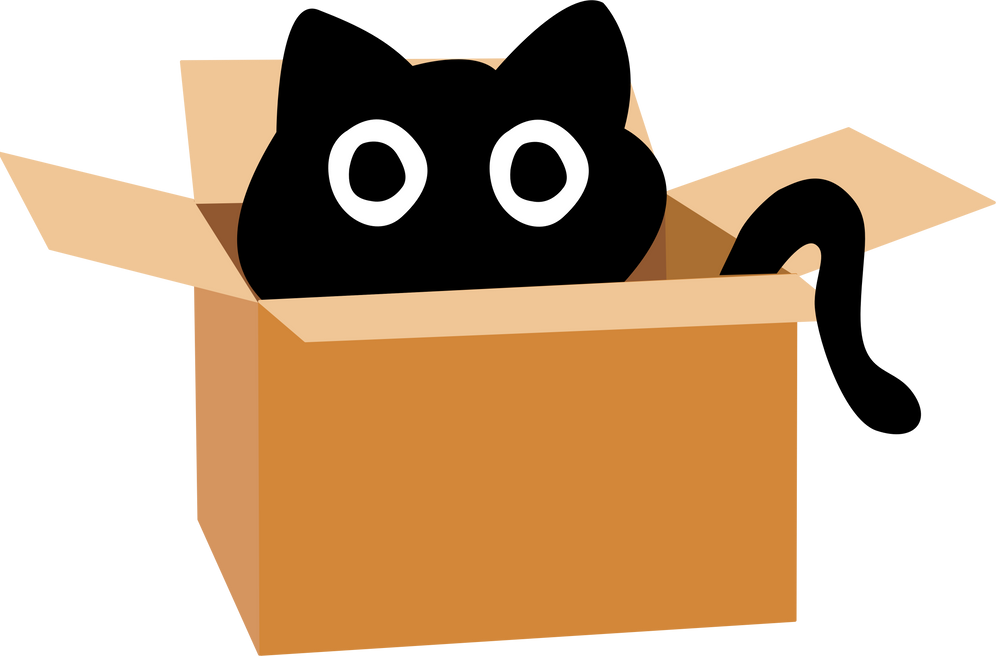 Black cat in the box